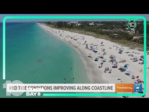 Headed to the beach? Red tide mostly cleared in Tampa Bay area