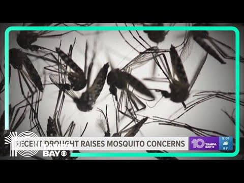Recent drought raises health concerns when it comes to mosquitos