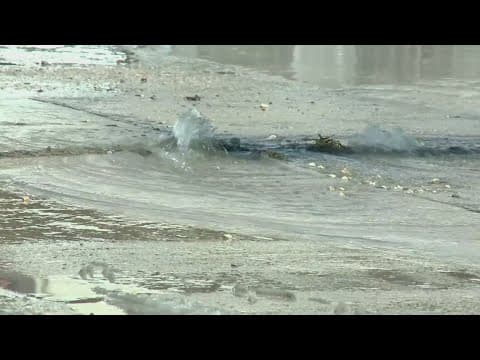 New Orleans Snow | Thaw our reveals water issues throughout the city