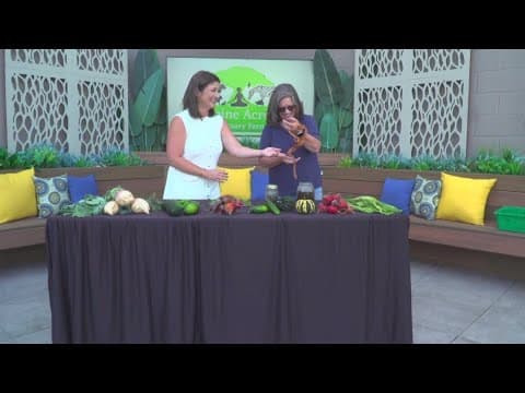 Alpine Acres Sanctuary Farm announces new name and identity