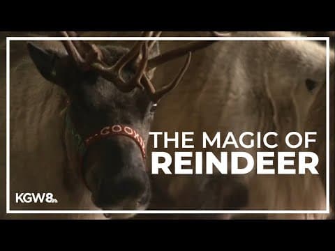 Oregon farm brings the magic of reindeer to life