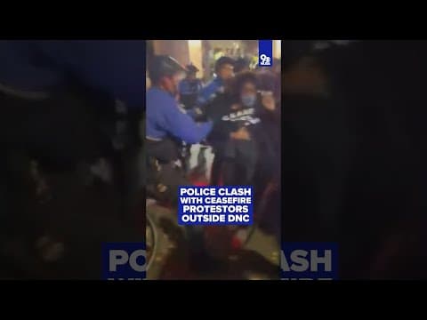 ‘Let Gaza Live!’ | Police Pepper spray and punch protesters outside DNC Headquarters