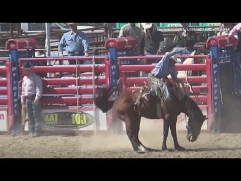 Will San Diego have its first rodeo?