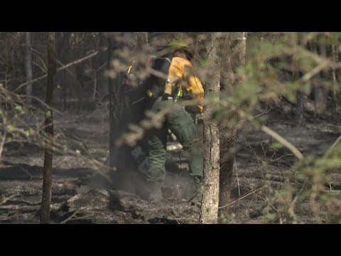 Pauline Road Fire | Team coverage from KHOU 11