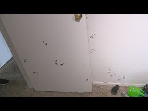 Attorney Ben Crump representing woman shot several times by deputies in her Houston-area apartment