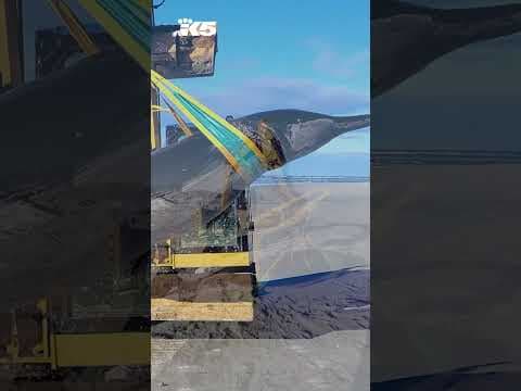 Whale carcass could be extremely rare species