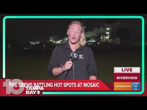 Fire crews put out hot spots in brush fire near Mosaic plant in Riverview