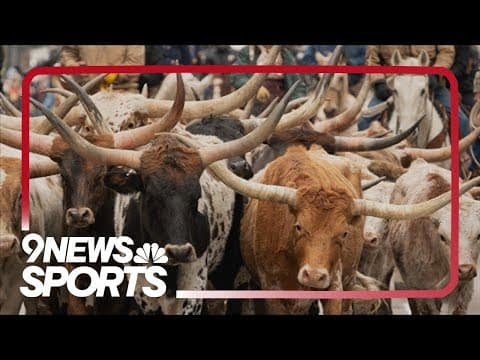 Colorado vs. the World Rodeo Finals at the 2024 National Western Stock Show