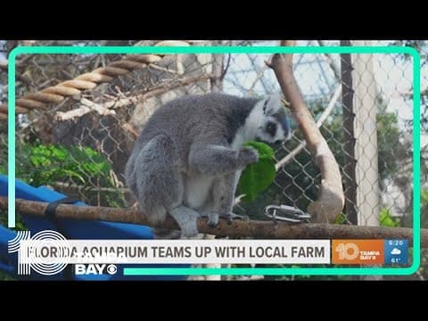 Florida Aquarium and local farm provide sustainable food for animals