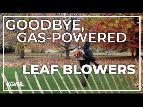 Portland City Council passes ban on gas-powered leaf blowers