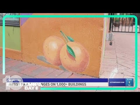 Community Connection: Artist paints oranges on 1,000+ buildings in Dunedin
