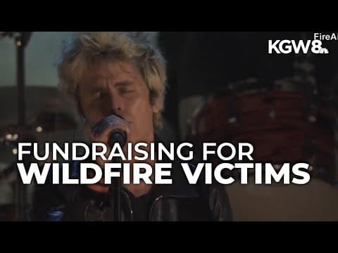 FireAid benefit concert raises funds for LA wildfire relief