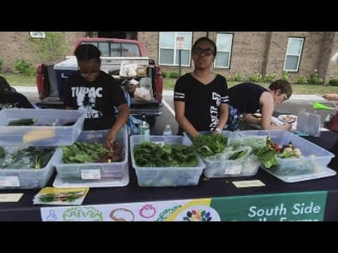 Urban farming combats food deserts in South Side community