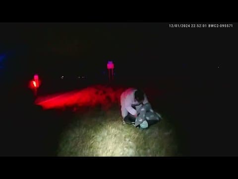 Baby thrown out of moving van during police chase