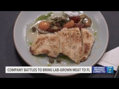Company battles to bring lab-grown meat to Florida