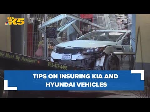 Want to insure a Kia or Hyundai? Here's what the state Office of the Insurance Commissioner suggests