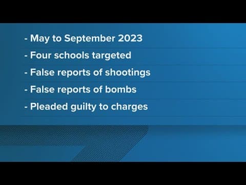 Virginia juvenile pleads guilty to several swatting incidents