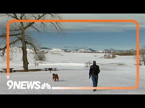 How to Know When It's Time to Say Goodbye?