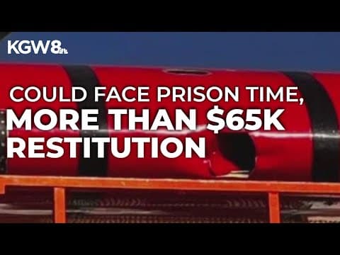 Man to plead guilty to drone that damaged 'Super Scooper' plane fighting LA wildfires