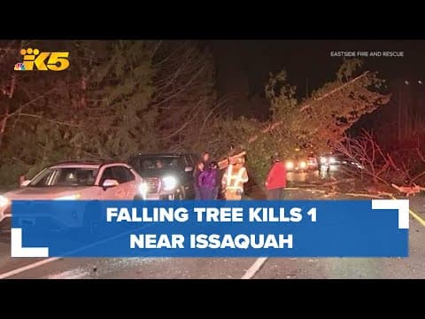Falling tree kills 1 person on state Route 18 near Issaquah