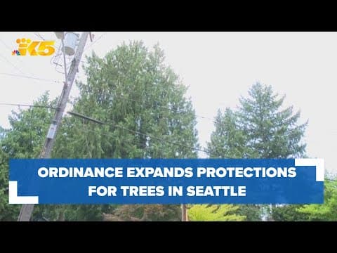 Ordinance expands protections to more trees in Seattle