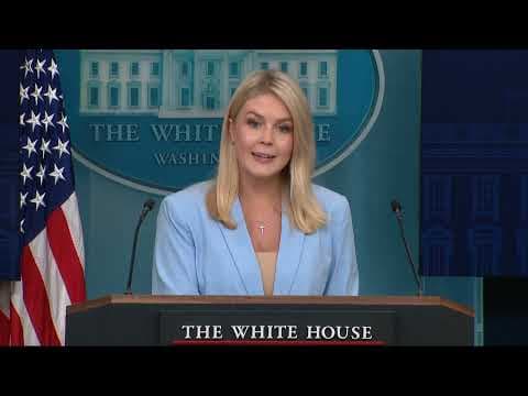 White House calls Newark air traffic control outage a ‘glitch,’ sidesteps Pope Leo's past criticisms