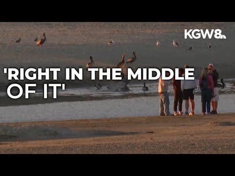 Tsunami advisory puts Oregon's Cannon Beach tourists on alert