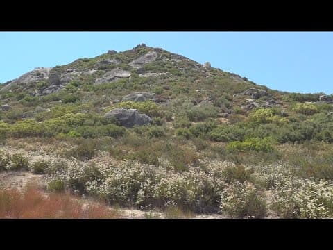 Seller impersonation fraud hitting San Diego County