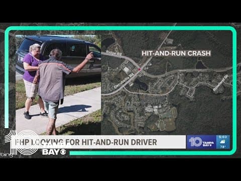 Authorities looking for person involved in Pasco County hit-and-run