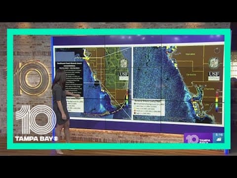 Latest red tide: Conditions slowly improve across Florida coastline