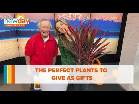 This is the plant to gift your mom, dad and everyone else on your list