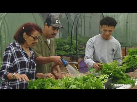 MiraCosta's garden program gives hope for formerly incarcerated and system-impacted students