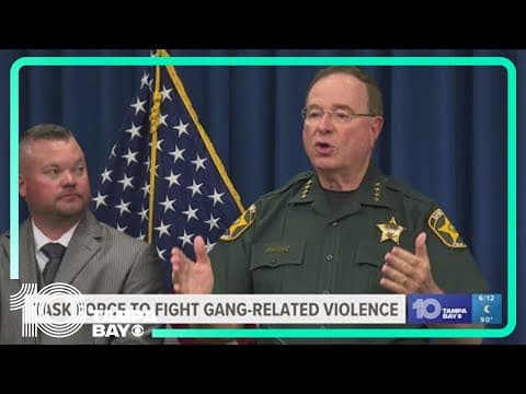 Multiple people arrested, guns seized during gang investigation in Polk County, sheriff says