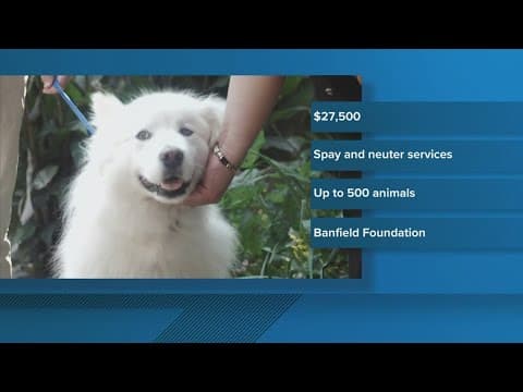 Young-Williams Animal Center receives thousands in grant funding