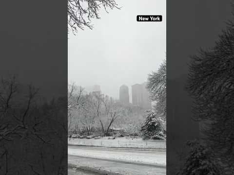 Winter storm: New York gets its most snow in years