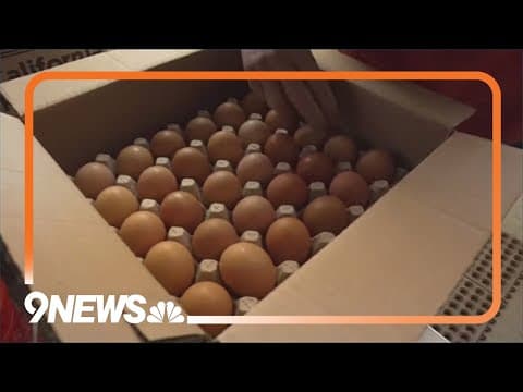 Egg prices may rise another 41% in 2025, USDA predicts