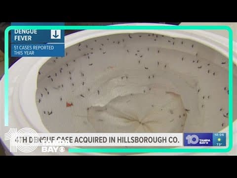 Another dengue fever case reported in Hillsborough County