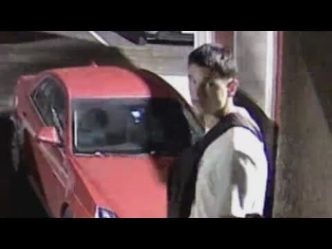 Dallas police continue searching for sexual assault suspect