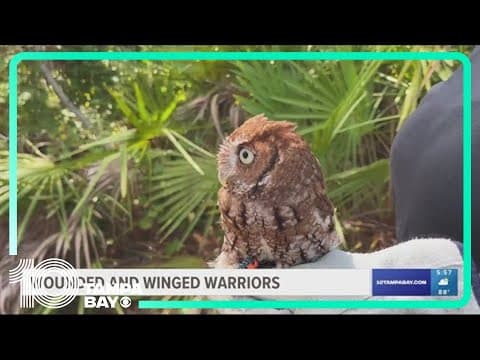 Largo park offers refuge for wounded, winged warriors