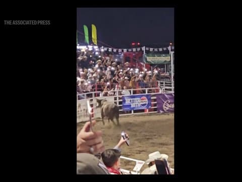 Rodeo bull hops fence at Oregon arena, injures 3 before being captured
