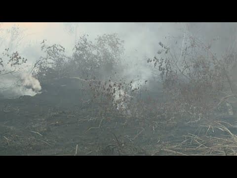 City councilmember expresses frustration about response times for wildfires in New Orleans East