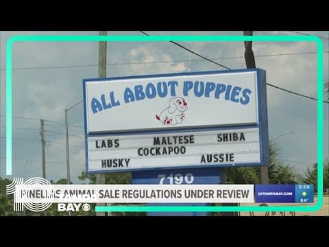 Pinellas County pet store animal sales under review