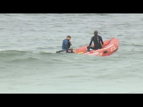 Researchers collect DNA to learn more about shark that bit Del Mar swimmer