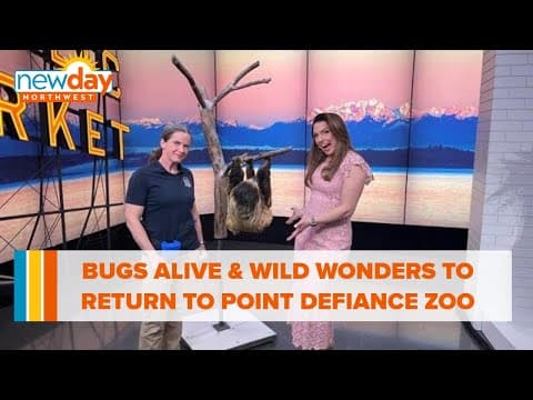 Bugs Alive! and Wild Wonders Outdoor Theater to return to Tacoma's Point Defiance Zoo - New Day NW