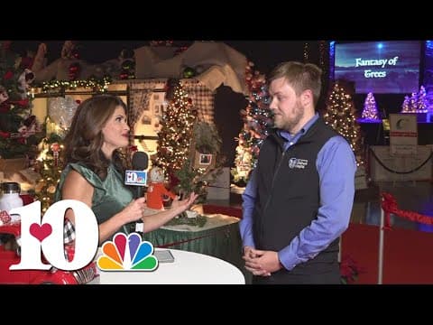 What Fantasy of Trees does for East Tennessee Children's Hospital