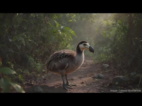 Dallas-based bioscience company makes breakthrough in Dodo bird de-extinction