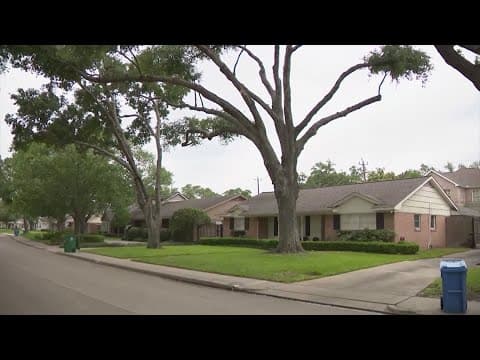 A new year means new property tax and homestead exemption laws that can help you save money