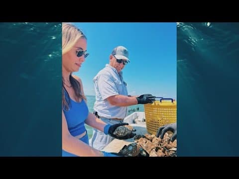 Meet Hannah Kaplan, the owner of Barrier Beauties oyster farm