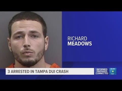 Officers: 3 arrested in DUI crash that severed man's leg in Tampa