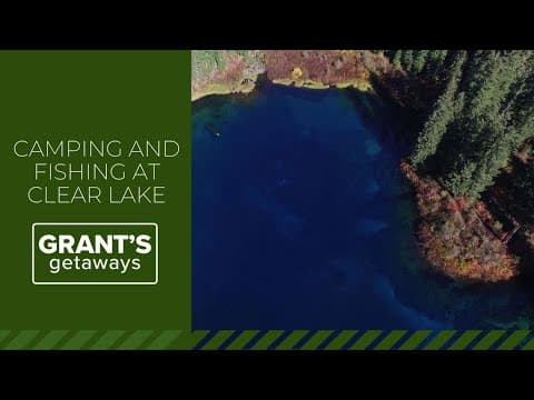 Make a family escape to Clear Lake